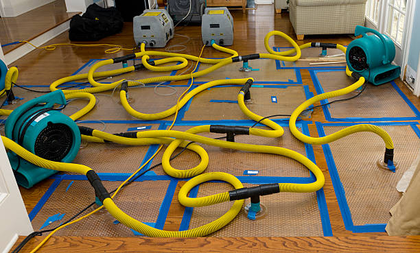 Professional Water Extraction technician working in Shiloh, OH